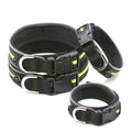 PET COLLARS AND LEASHES