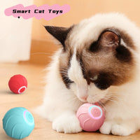 Smart Cat USB Interactive Bouncing Ball